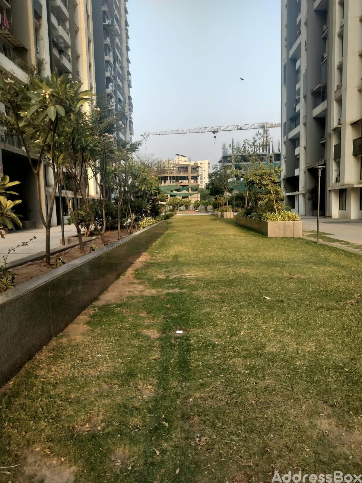 Green Glades photo