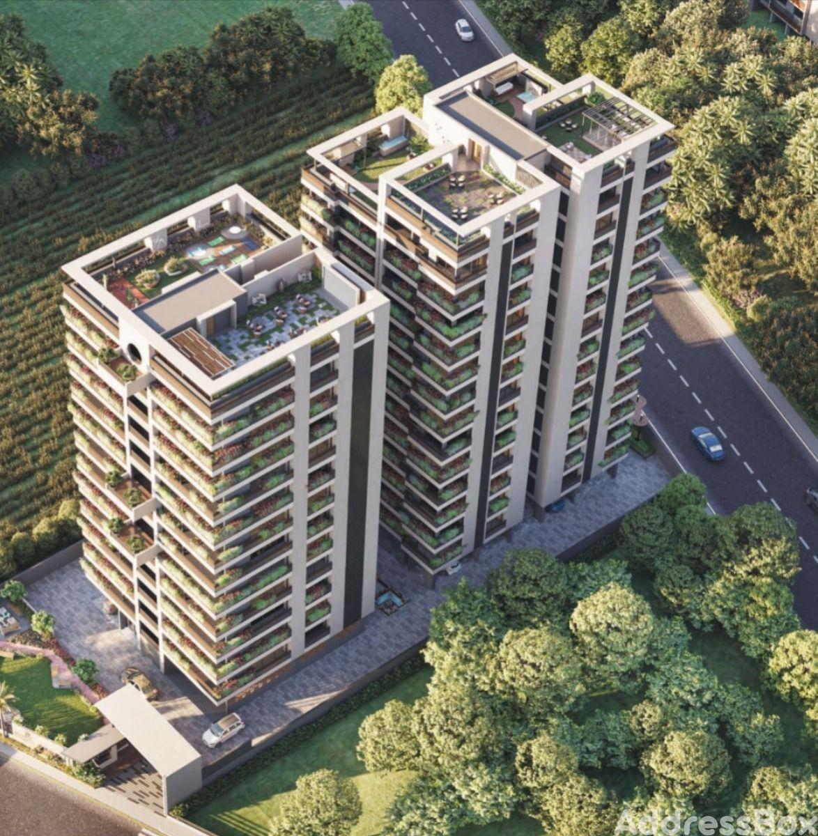 Rosevill Regius photo