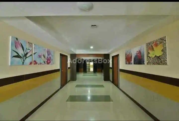 vivid pg photo
