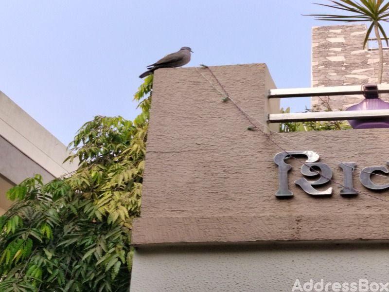 Property in Ghodasar | Ahmedabad