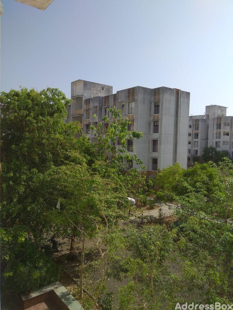 TATA SUBH  GIRHA photo