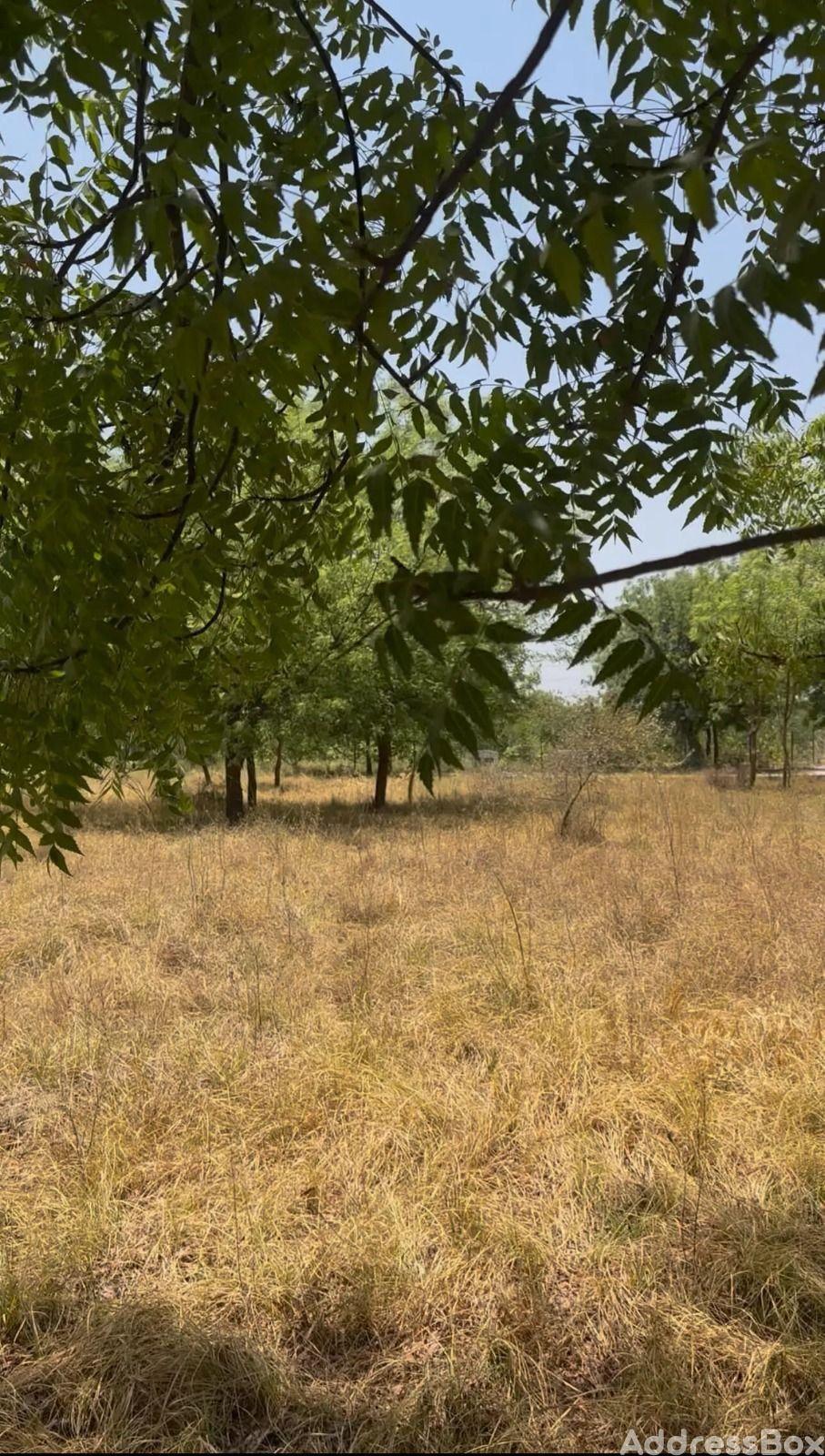 Property in Thol | Ahmedabad