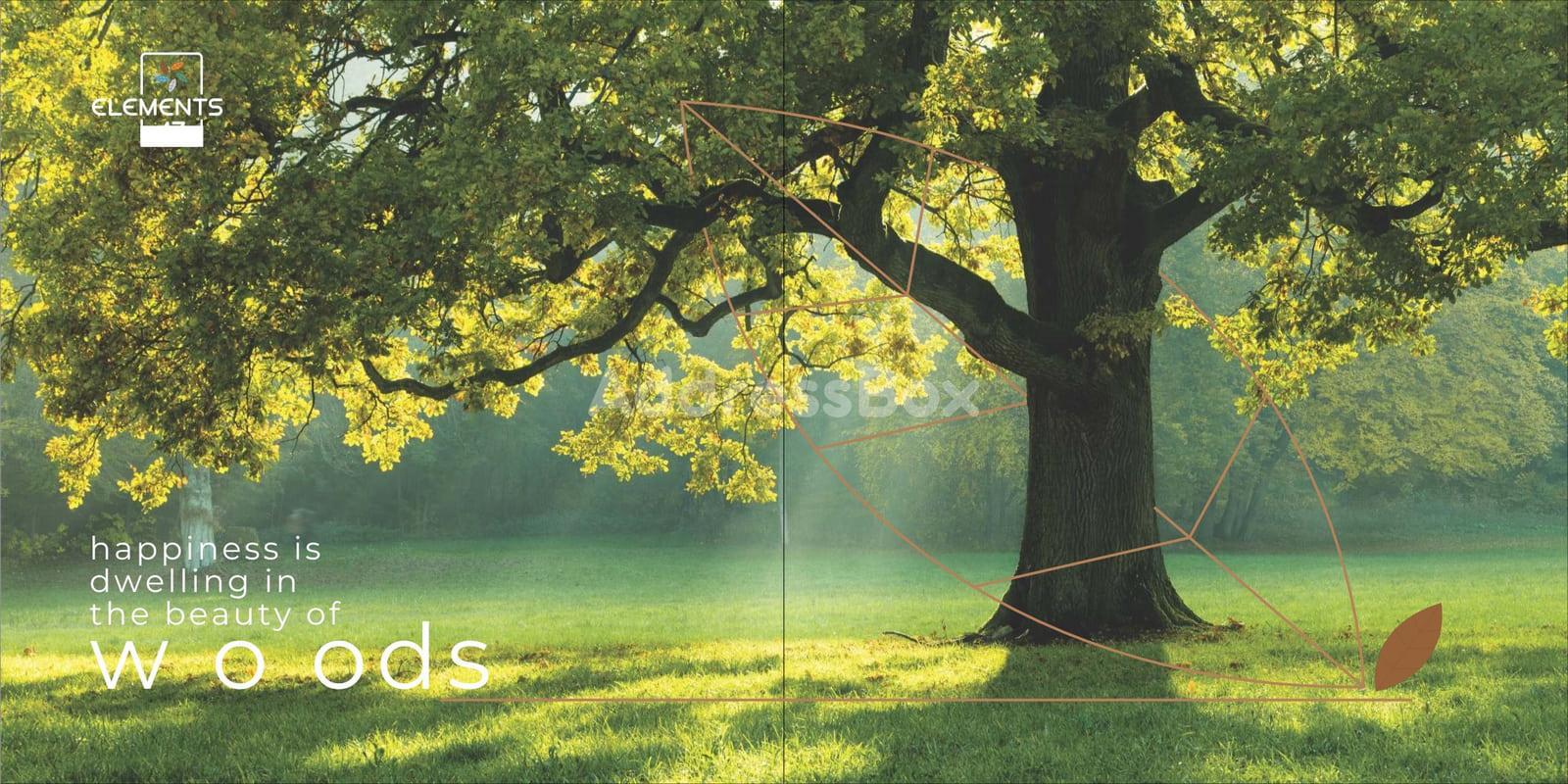 Elements 47 photo