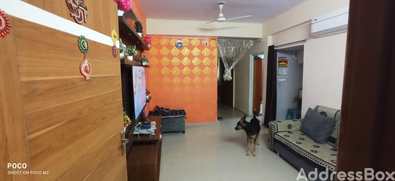 Tulsi Galaxy photo