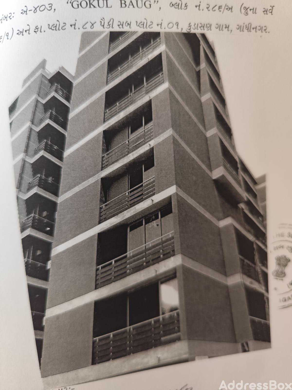 GOKUL BAUG FLATS photo