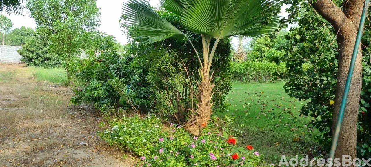 Property in Vanch | Ahmedabad