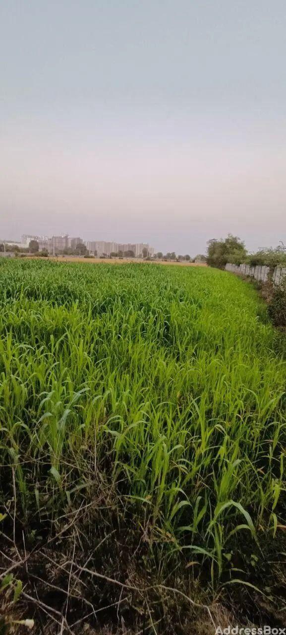 Property in Rancharda | Gandhinagar