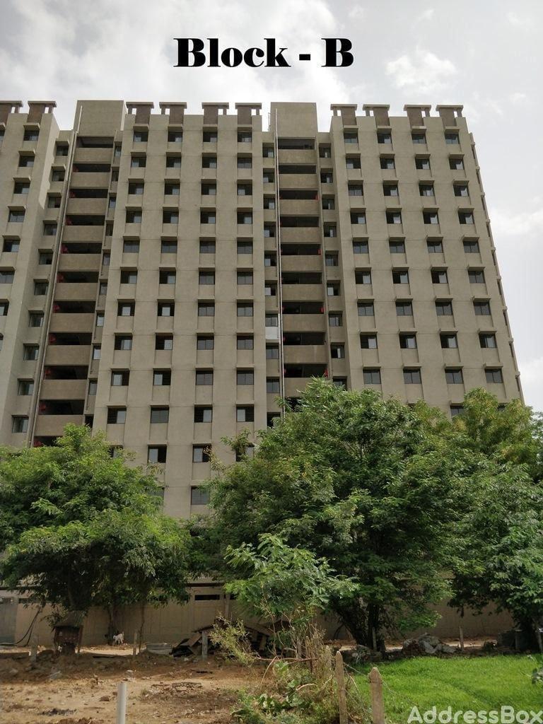 SAVVY STRATA photo