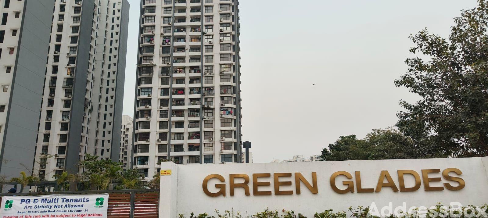 Green Glades photo