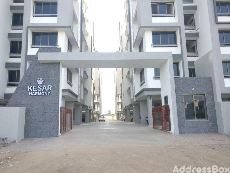 kesar harmony photo