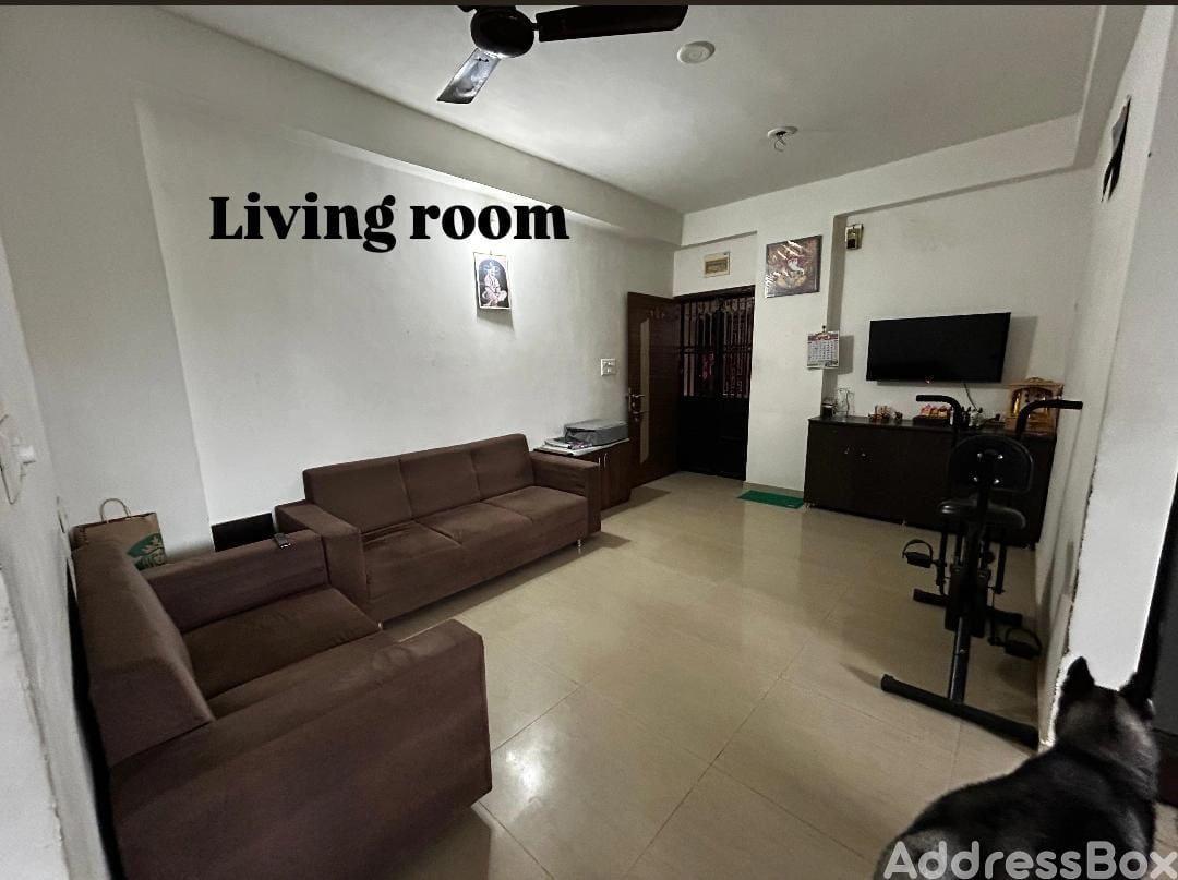 Dev 181 photo