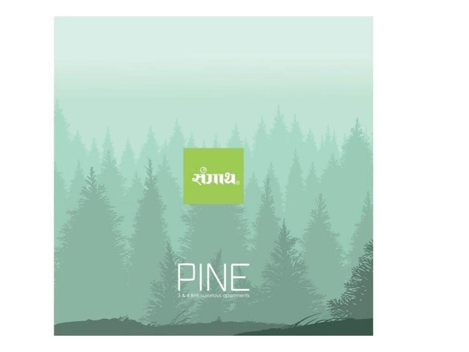 SANGATH PINE photo