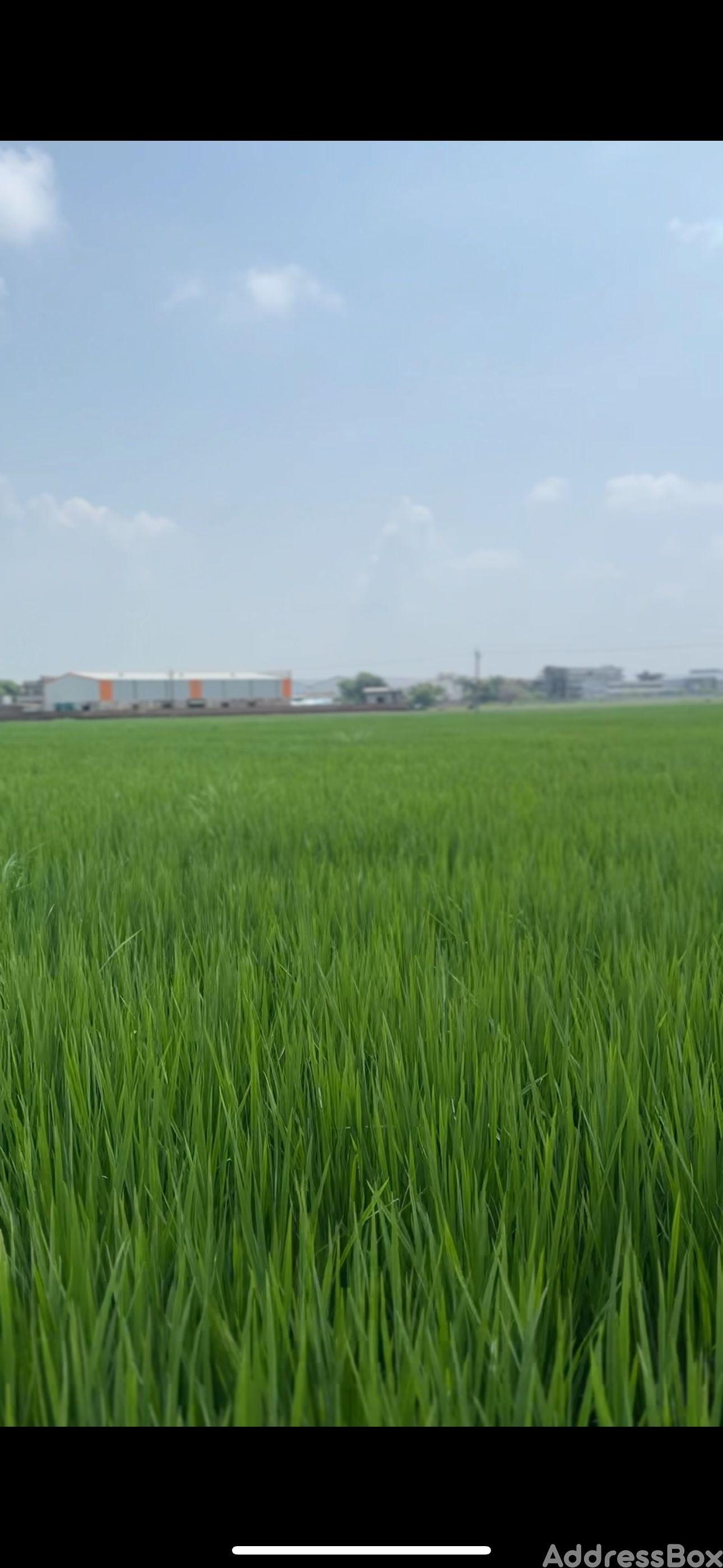 Property in Timba | Ahmedabad
