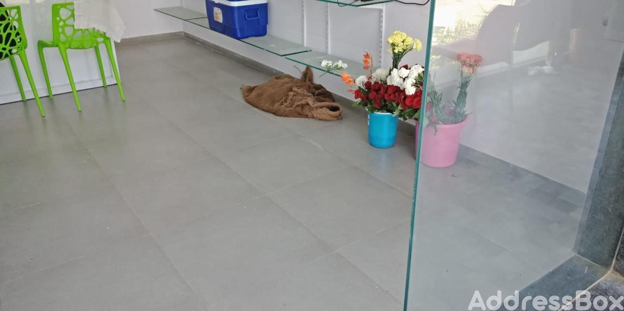 Property in Shilaj | Ahmedabad