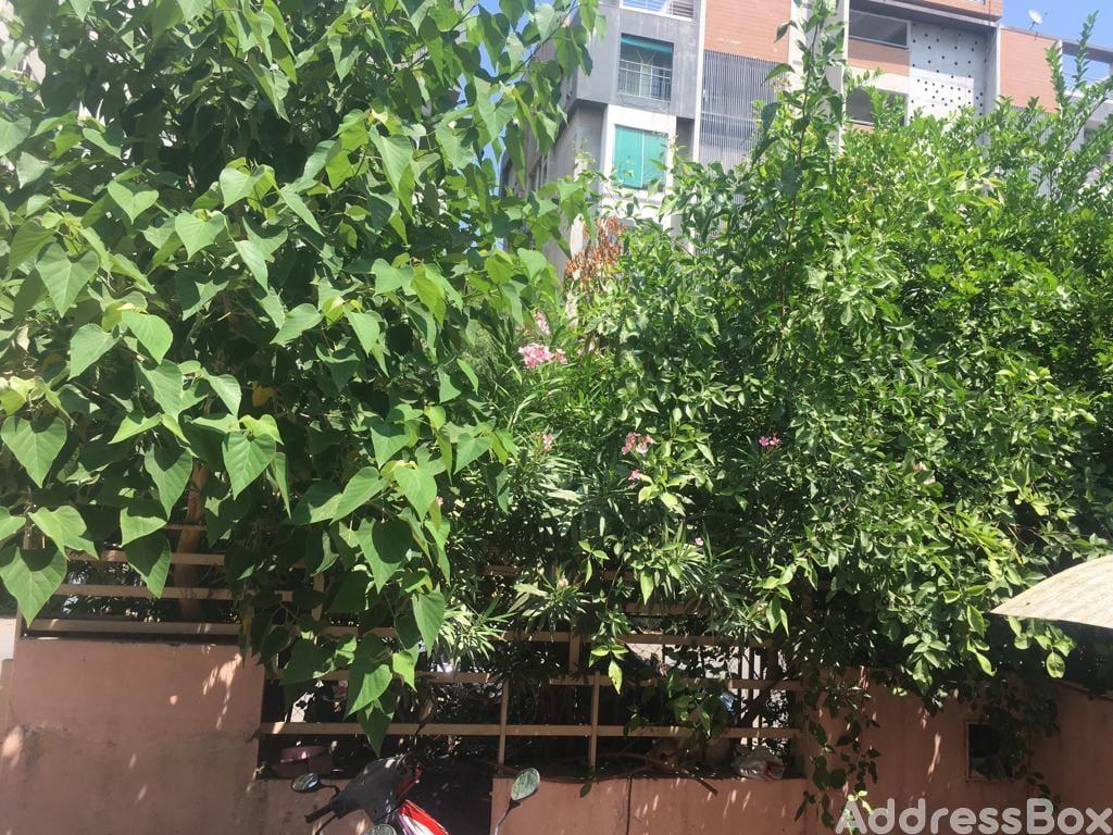Property image Property in Motera | Ahmedabad