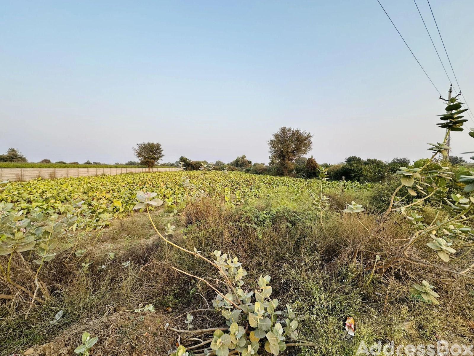 Property in Sanand | Ahmedabad