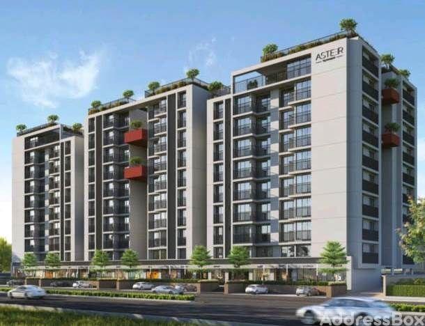 Sampad Aster - Commercial photo