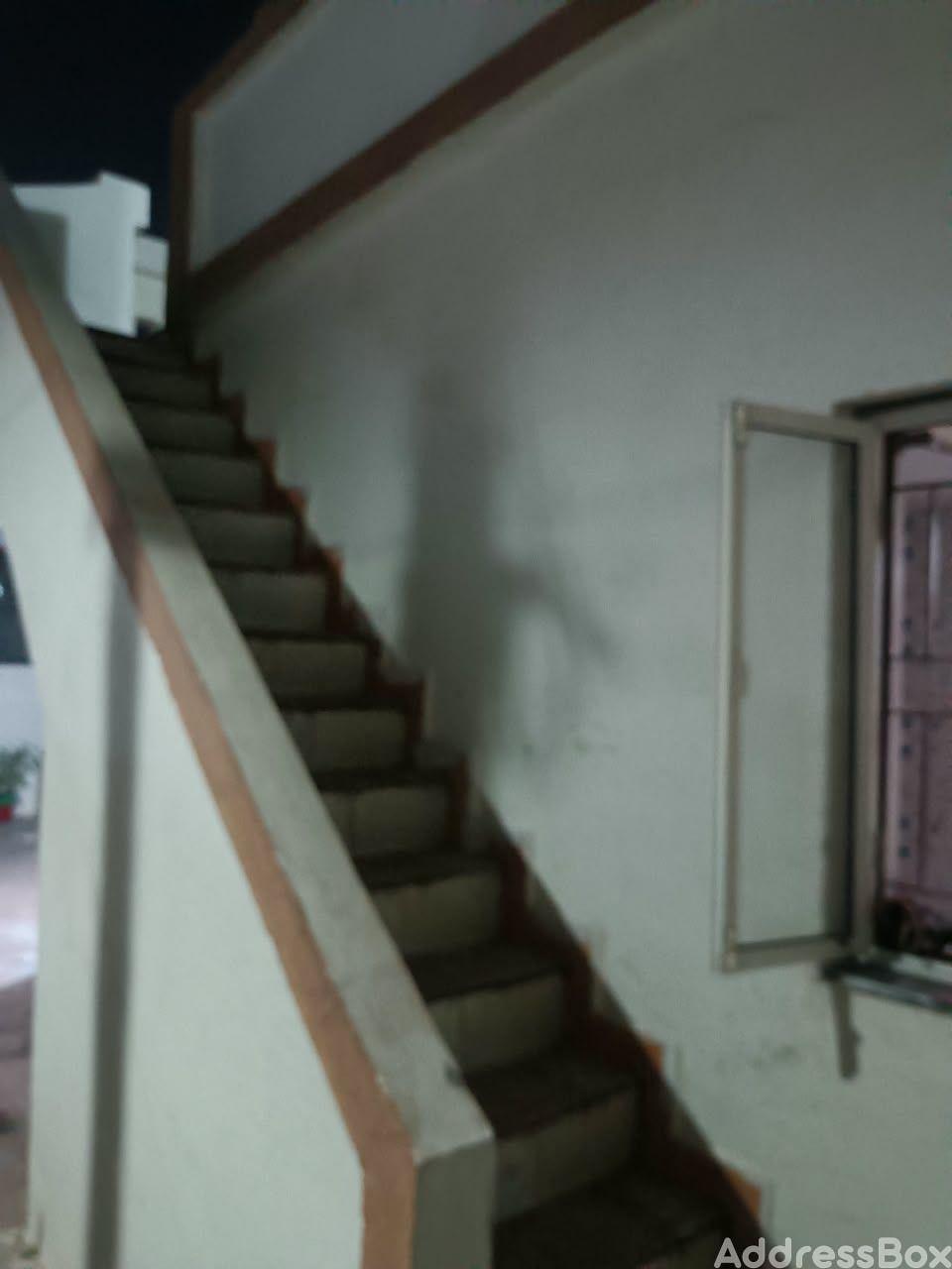 SWEET HOME SOCIETY photo