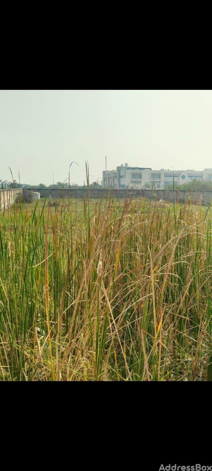 Property in Changodar | Ahmedabad