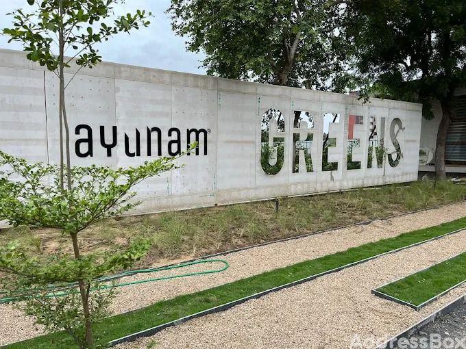 AYUNAM GREENS photo