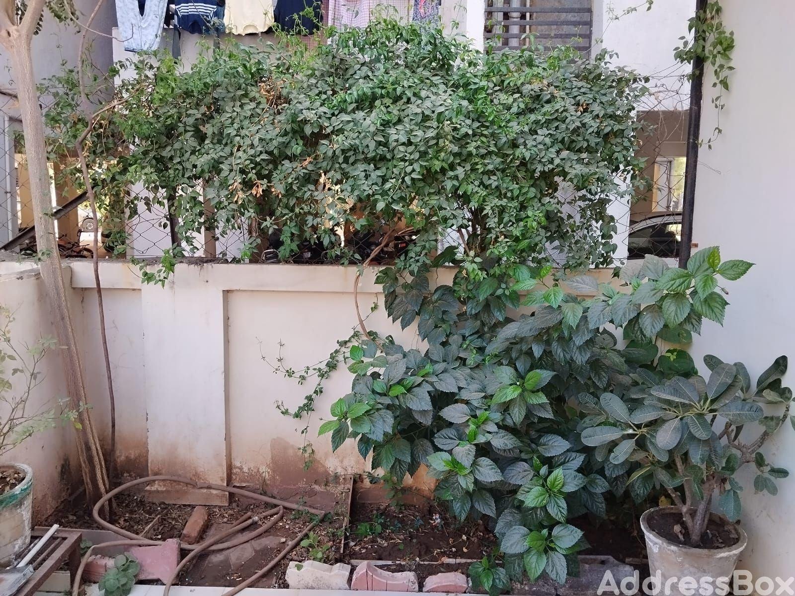 Anirdesh bungalows  photo