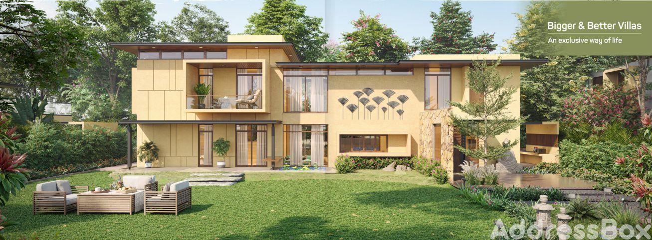 NB Relife photo