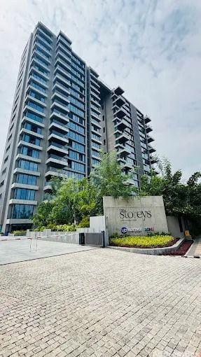 The Storeys photo