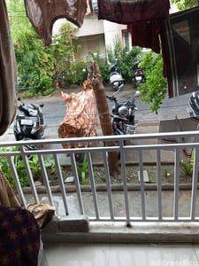Property in Adalaj | Gandhinagar