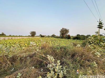 Plots for Sale in Shela, Ahmedabad | Kaneti Rd