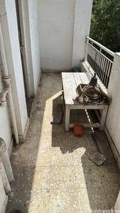 Property in LAW GARDEN | Ahmedabad