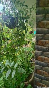 Property in Vejalpur | Ahmedabad