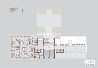 Skyzenia Floor Plan