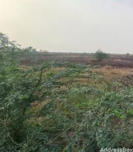 Property in Dholera | Ahmedabad
