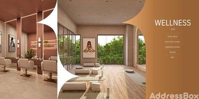 NB Palm Amenities