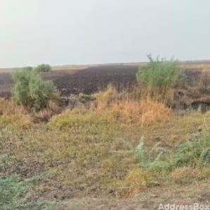 Property in Dholera | Ahmedabad