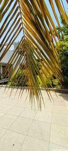 Property in SG Highway | Ahmedabad