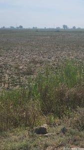Land for Sale in Narol, Ahmedabad | BHIM TALAV DHOLERA