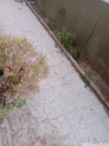 Property in Lambha | Ahmedabad