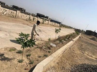 Plots for Sale in Dholera, Ahmedabad | Oak Goldencity