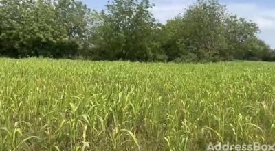 Property in Sanand | Ahmedabad