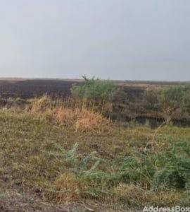 Property in Dholera | Ahmedabad
