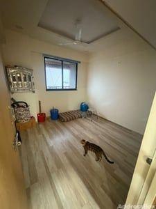Property in Hathijan | Ahmedabad