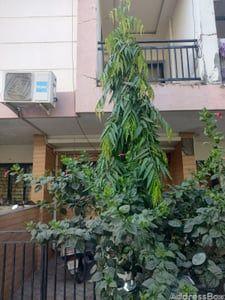 Property in Manipur | Ahmedabad
