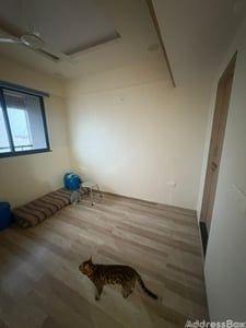 Property in Hathijan | Ahmedabad