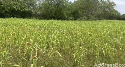 Property in Sanand | Ahmedabad