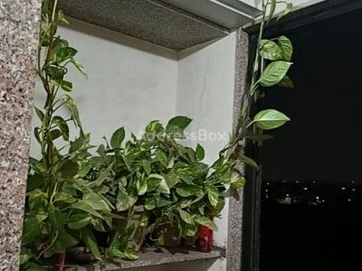 Property in Sarkhej | Ahmedabad