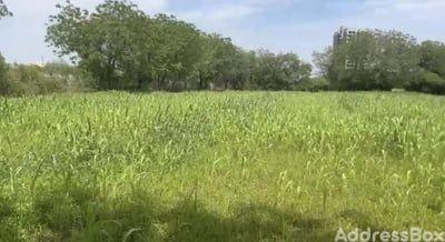 Property in Sanand | Ahmedabad
