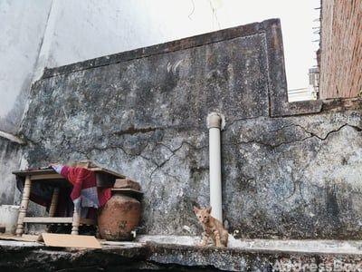 Property in Thakkarbapa Nagar | Ahmedabad