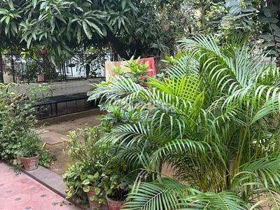 Property in Navrangpura | Ahmedabad