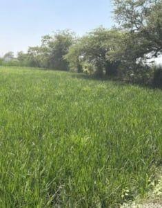 Property in Changodar | Ahmedabad